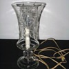 Glass floral etched electric lamp