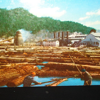 LOGGING POSTCARDS