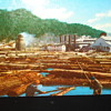 LOGGING POSTCARDS