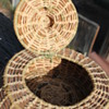 Woven Basket small with hinged lid