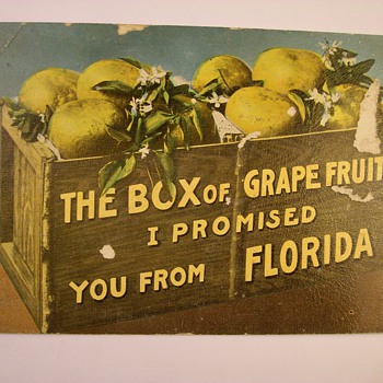 Greetings From Florida Postcard Circa 1886?? - Postcards