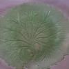 Green depression glass plate and crystal pitcher