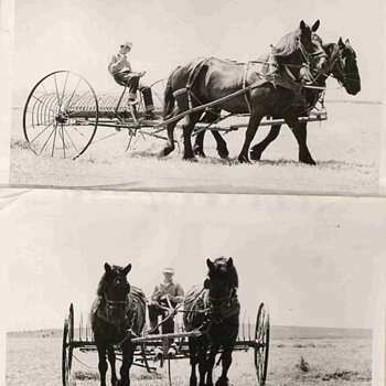 Our old Farm photo of Plow and Plow horses - Photographs