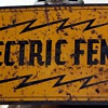 Electric fence sign with image of a bull