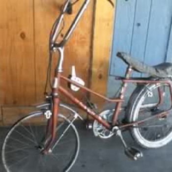 Golden Arrow Bicycle - Outdoor Sports
