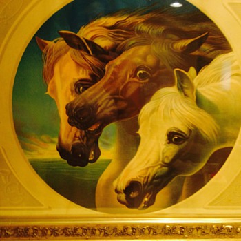 Wild Horses Couldn't Stop Me - Animals