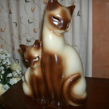 HERE KITTY KITTY!