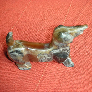 Little dachshund - Animals