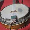 What kind of Banjo is this?