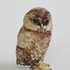 Japanese Carved Bone (?) Owl, Some Painting, Signed 