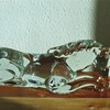 ermanno nason horse