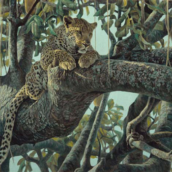 Robert Bateman  -  “LEOPARD IN A SAUSAGE TREE "  -  Signed Artist Proof