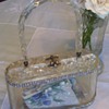 Lucite Purse