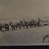 Wheat Farming the old fashioned way