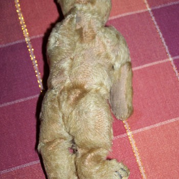 My little Teddy Bear - Dolls