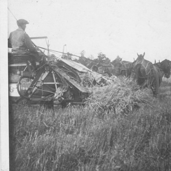 My Canada family in field working  - Photographs