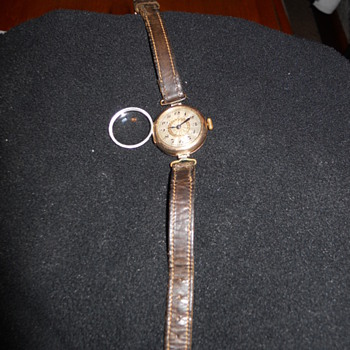 Mystery watch...