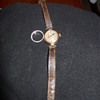Mystery watch...