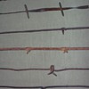 More Antique Barbed Wire