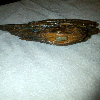 Bullet lodged in wood from Bentoville Battle in North Carolina