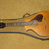 Orphan Mandolin without a name 