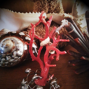 Coral on silver - Fine Jewelry