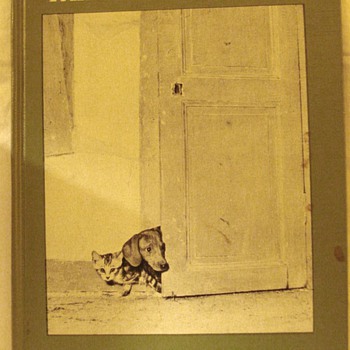 A wonderful old book about a dachshund and a kitten in French - Books