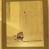 A wonderful old book about a dachshund and a kitten in French