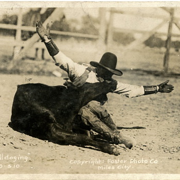 Montana Rodeo Action? - Animals