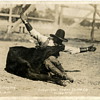 Montana Rodeo Action?