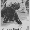 1955 Black & White Scotch Advertisements