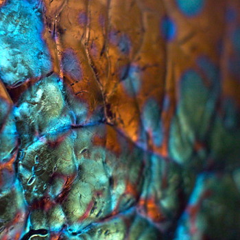 MACRO GLASS... Loetz and Quezal...seldom seen details - Art Glass