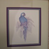 Blue Parrot by 'Harrison'