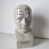 L. N. Fowler Phrenology Head