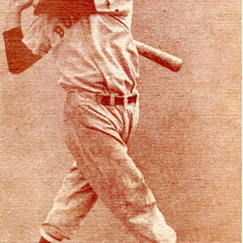 Ted Williams Arcade Card - Baseball