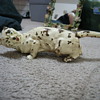 Cat Door Stop???? or what is it... help!!