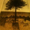 Unusual print of a tree in a graveyard by George Chapman