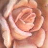 Carved Flower Pin?