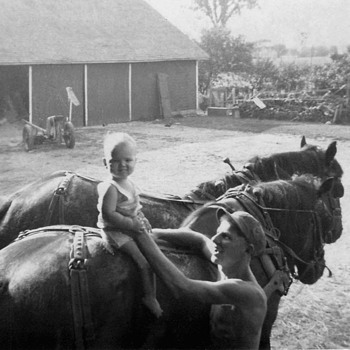 First Horse ride on a mighty BIG horse  - Photographs
