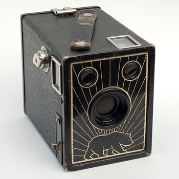Bear Photo Special - Cameras