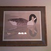 GANDER