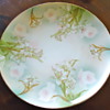 Antique Moritz Zdekauer (MZ Austria) Plate
