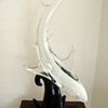 Formia Murano Glass Shark