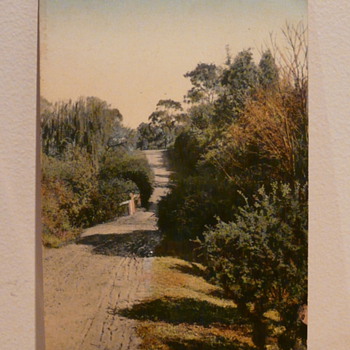 COUNTRY LANE NEAR ADELAIDE c1910. - Postcards