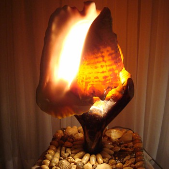 Shell Art Conch Lamp 1950s - Lamps