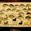 Hitails and Punkin Seeds Heddon Tackle Co.