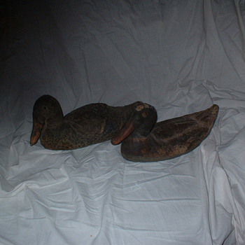 DECOYS
