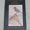 Birds Worth Knowing
