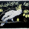 Orig. Lino-cut by Australian Artist Ursula Ridley Walker~of Cockatoo, Bird, & Lemons