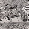 Folk Art Birdhouse with Carved Folk Art Bird Figures